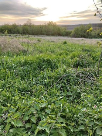 Продам будинок під знос - фото 1