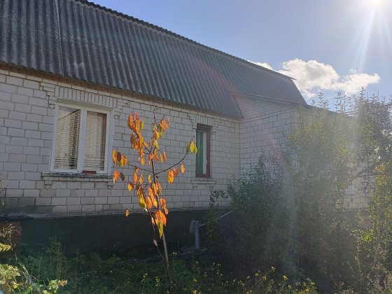 Продам будинок від ВЛАСНИКА/опалення Комбіноване/Постанови/Сертифікат Рокитное