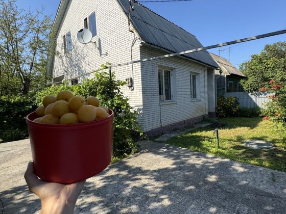 Продаж Дача в Глевасі! Без Комісії! Глеваха