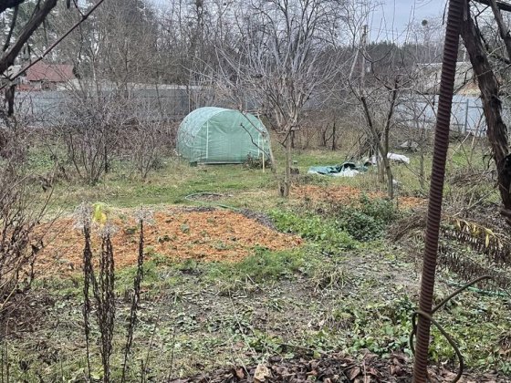 Процев фасад дамба Процев