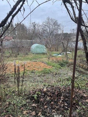 Процев фасад дамба - фото 1