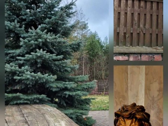 Продам чудо маєток у мальовничому затишному куточку Старих Петрівців. Старі Петрівці