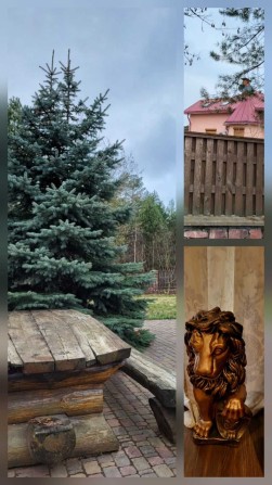 Продам чудо маєток у мальовничому затишному куточку Старих Петрівців. - фото 1