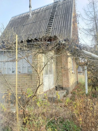 Хотянівка Продам Дачу Без комісії - фото 1