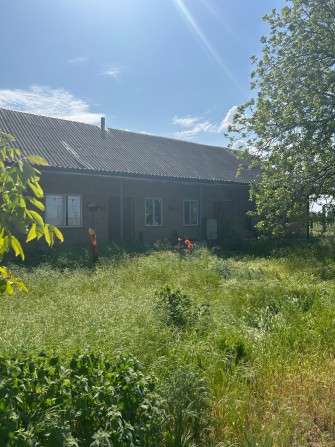 Дом на две половини - фото 1