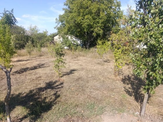 Продам як ділянку Голованевск