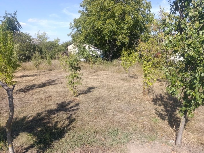 Продам як ділянку - фото 1