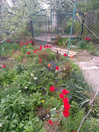 Продам дачу район Николаев  Сливено - фото 1