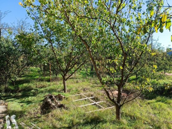 Дача лупарево бирюза Лупареве