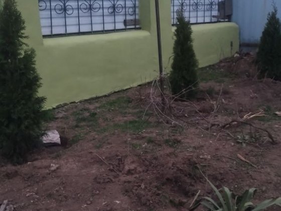 Продається будинок Весняне