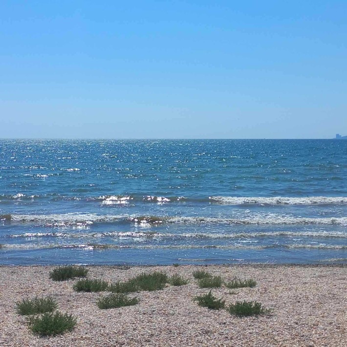 Дача на берегу моря - фото 1