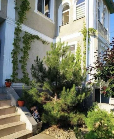 Будинок Восход 61000$ - фото 1