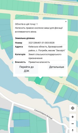 Ділянка 12 соток 1ша лінія затоки Десни, Погреби, Заозір'є - фото 1