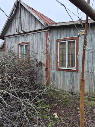 Продам дачу Світле - фото 1