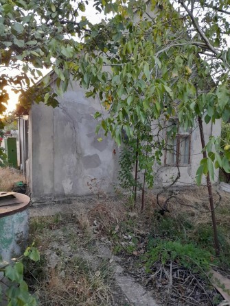 Продам дом в Светлом по цене участка! - фото 1