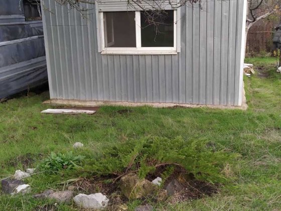 Продам дом-дачу в с. Светлом Світле