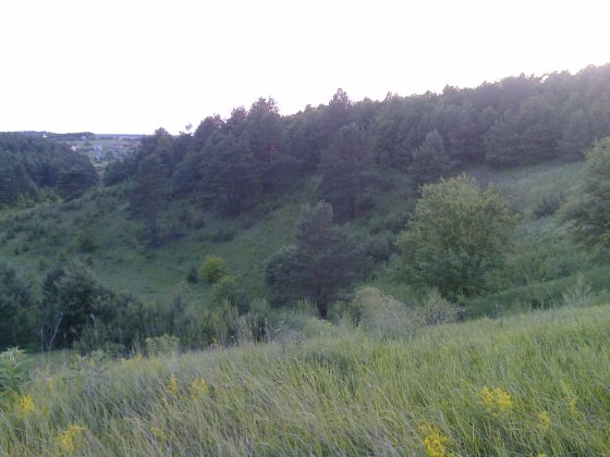 Продам 2га в с.Лука поруч Горбовичи, Гореничи Гореничі