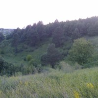 Продам 2га в с.Лука поруч Горбовичи, Гореничи Гореничі