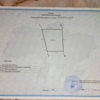 Продаж земельного пая 137 сот у Вишгородському районі Любимівка