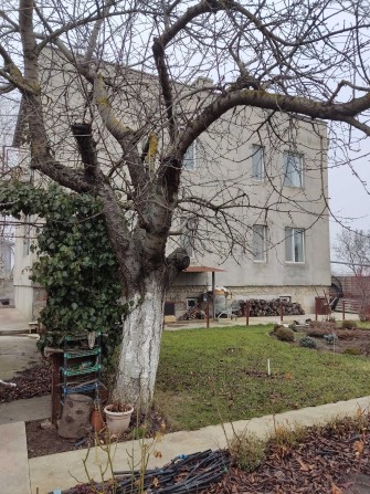 Продам дом в Новой Дофиновке, курортный район на берегу моря. - фото 1