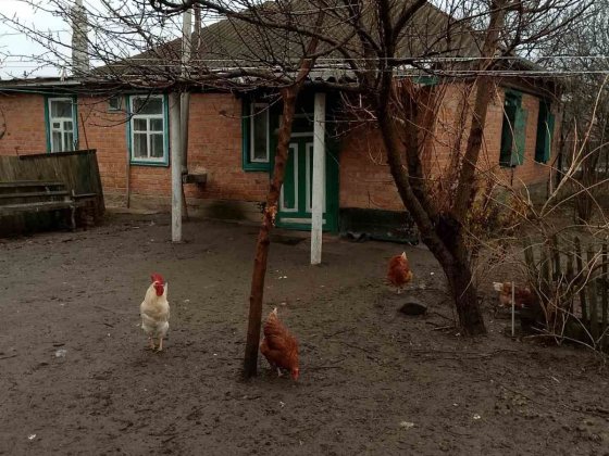 Газифікований будинок Кобеляки