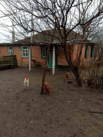 Газифікований будинок - фото 1