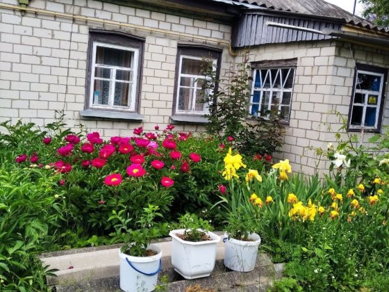 Продам будинок м.Кобеляки Кобеляки