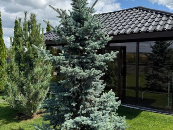 Будинок американка Бармаки