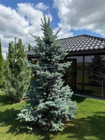 Будинок американка - фото 1