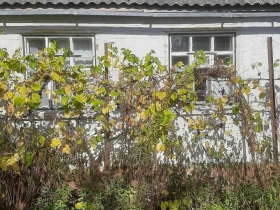 Дача в  дачном районі Кролевец