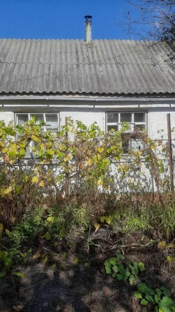 Дача в  дачном районі - фото 1