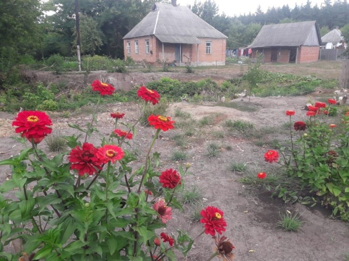 Продається будинок - фото 1