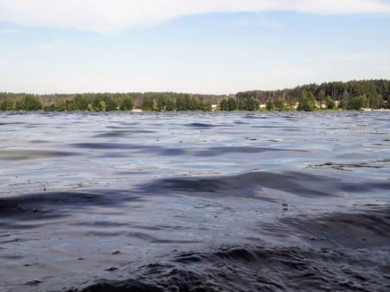 Продам дом-дача в Безлюдовке-2 у озера,по ул.Клубничная Безлюдовка