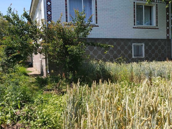 Продається будинок м . Дунаївці будинок + літня кухня. Дунаевцы