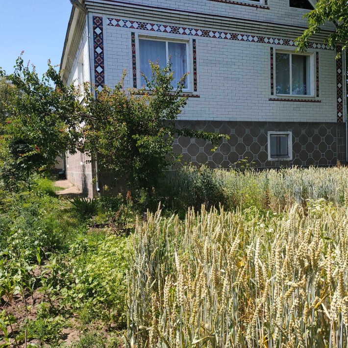 Продається будинок м . Дунаївці будинок + літня кухня. - фото 1