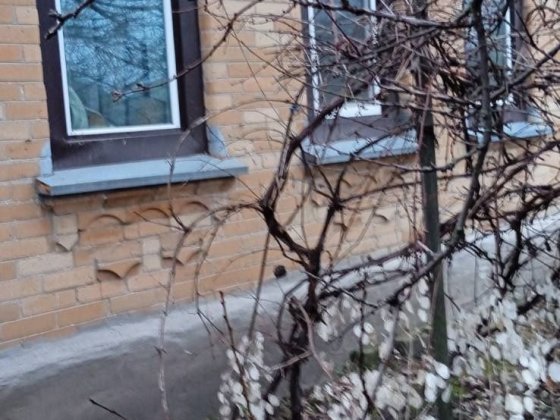 Будинок в с. Слобода Черкаський район Червона Слобода