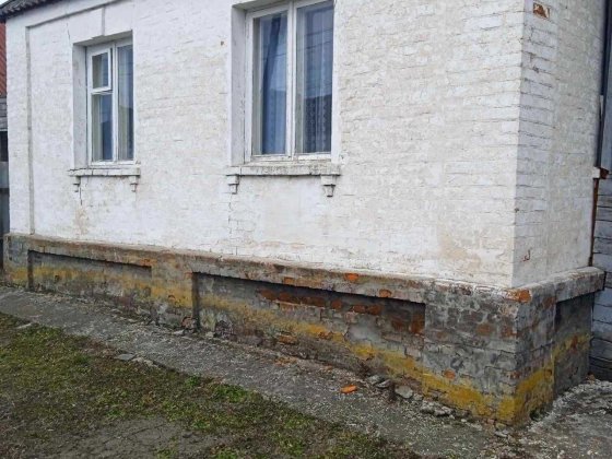 Будинок 55м2 на ділянці 16 соток, Ічня Ичня