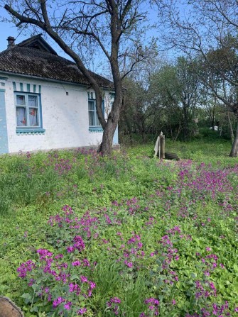 Продам будинок с.Шолойкі Чернігівської області - фото 1