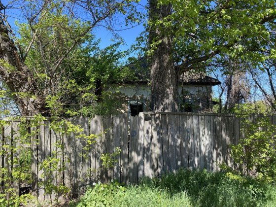 ТЕРМІНОВА ПРОДАЖА Будинок з ділянкою Борзна