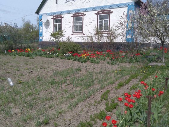 Продається затишний будинок смт Ладан Ладан