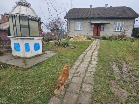 Продаж будинку  с.Чагор Чагор