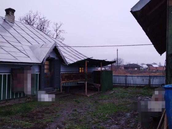 Продається будинок від власника ! Вашківці