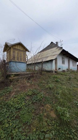 Продається стареньке господарство в селі Молодія - фото 1