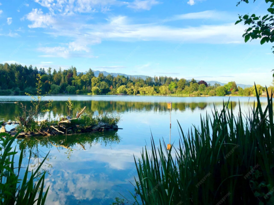 Продаж земельної ділянки 7.7. га з виходом до води Обухов