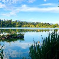 Продаж земельної ділянки 7.7. га з виходом до води Обухів