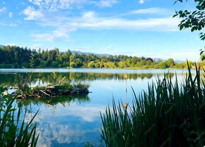 Продаж земельної ділянки 7.7. га з виходом до води - фото 1