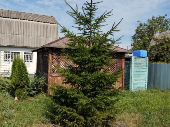 Дача в Чапліївці.Біла Церква. 5 хвилин від жд.станції Белая Церковь