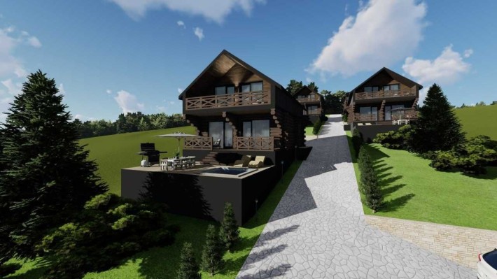 Будиночки в Микуличині — дикий зруб - фото 1