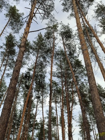 Продам таунхаус біля парку з частковим ремонтом - фото 1