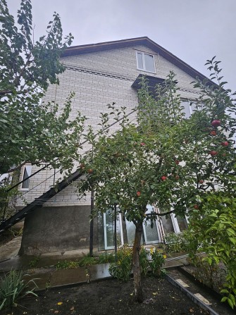 Будинок з ремонтом Центральний парк - фото 1